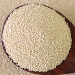 Active Yeast & Starters